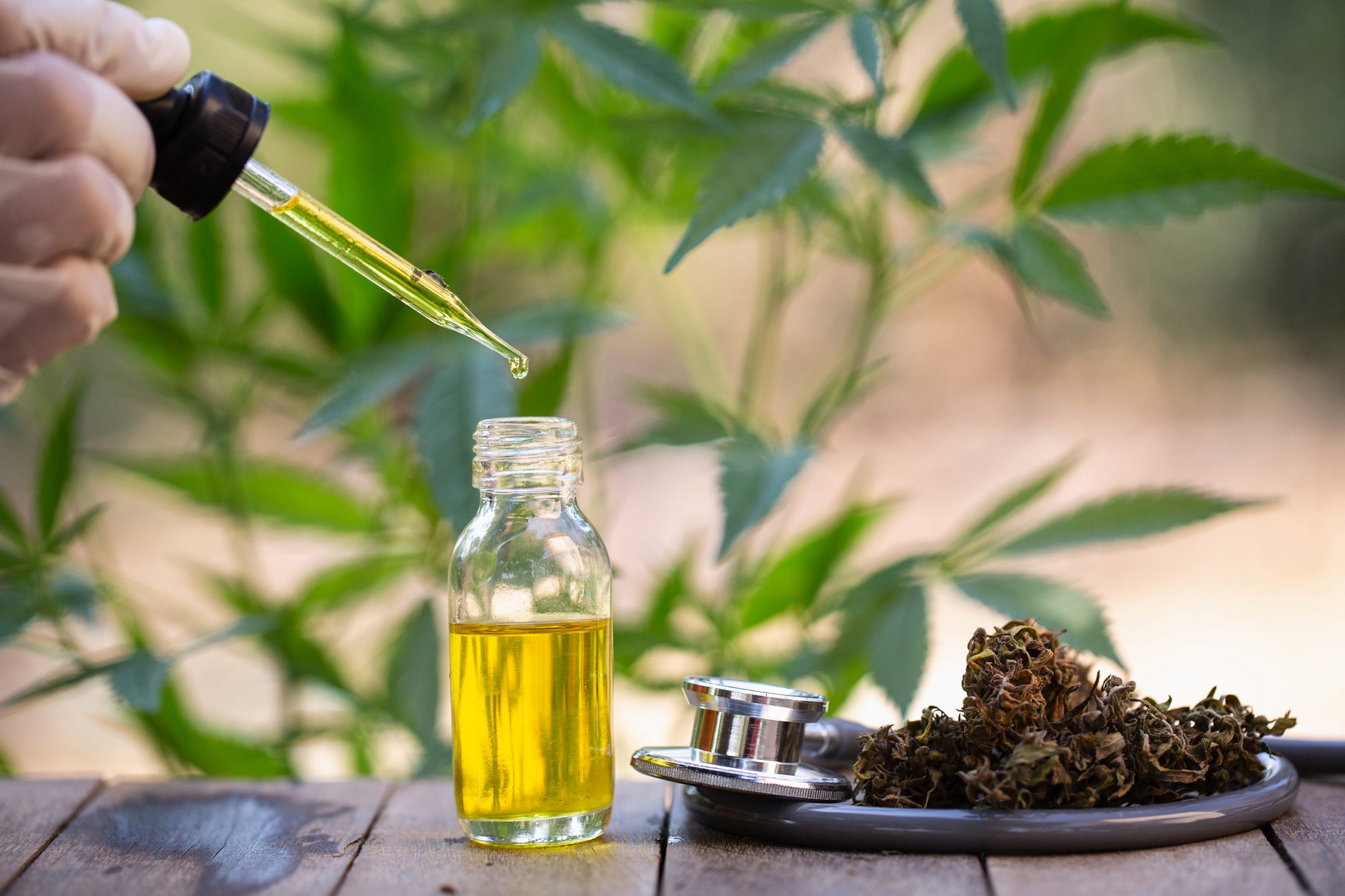Benefits and Uses of CBD Oil - Canabliss