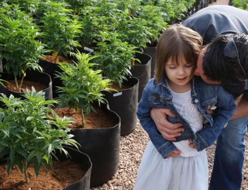 Charlotte Figi, the girl who inspired a CBD movement, has died at age 13